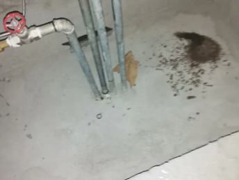 阜康卫生间测漏水价格明细