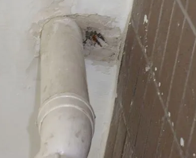 阜康漏水检测哪家好